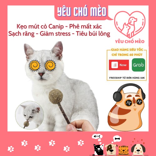 Kẹo mút cỏ Catnip cho mèo - Gói 3 que kẹo cho Boss phê quên lối về  