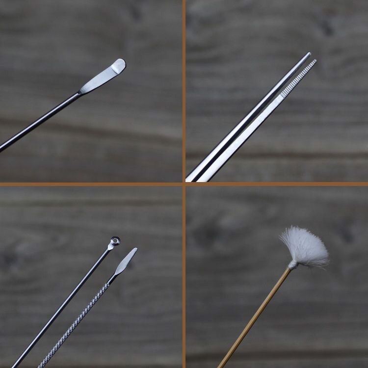 Bộ Dụng Cụ Ngoáy Tai Bằng Thép Không Gỉ Cao Cấp Kèm Hộp Gỗ Lông Ngỗng Và Nhíp Gắp Tai