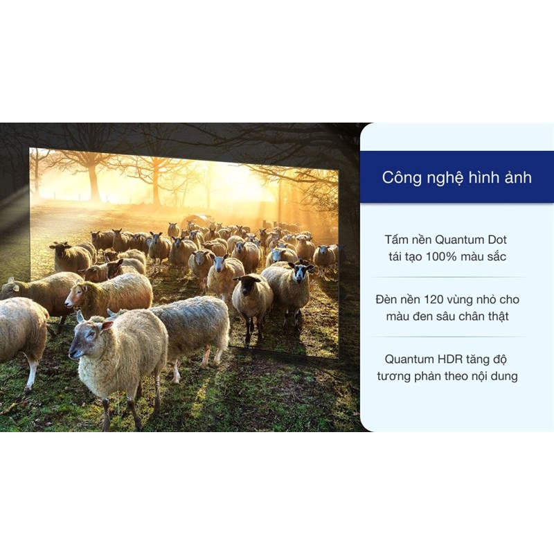 Smart Tivi Ngoài Trời The Terrace QLED Samsung 4K 65 inch QA65LST7T | BigBuy360 - bigbuy360.vn