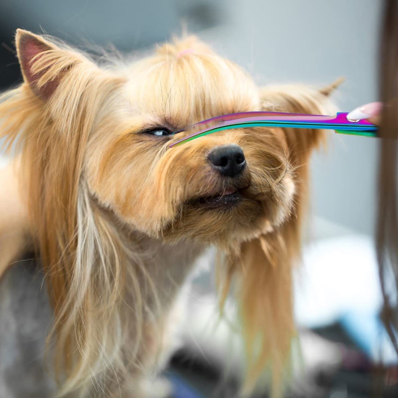 6.7 inch Kéo cắt tóc màu cho thú cưng,Bộ tông đơ cắt lông thú cưng bằng thép không gỉ nhập khẩu từ Nhật Bản.