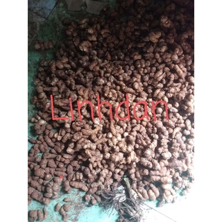 củ địa liền tươi 2kg 165k