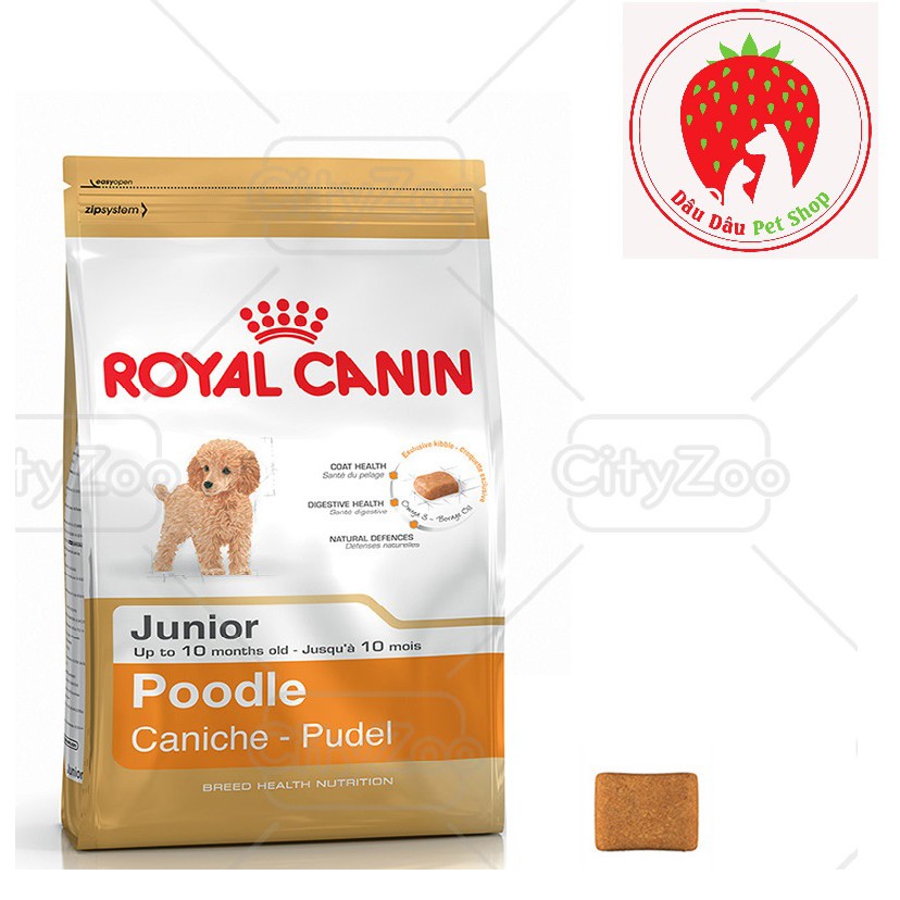 [ Bán sỉ ] THỨC ĂN CHÓ ROYAL CANIN JUNIO POODLE