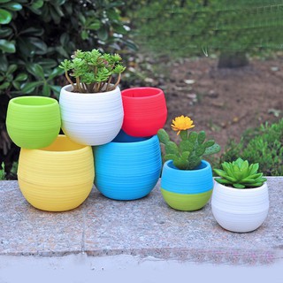 Chậu cây mini, chất liệu nhựa