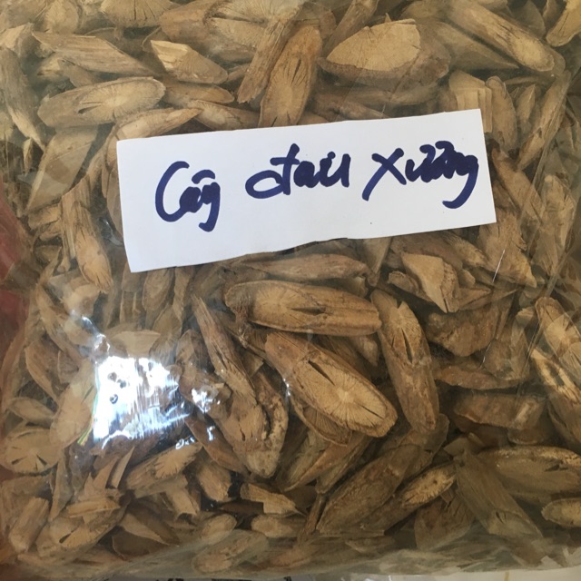 Cây Đau Xương | Hỗ Trợ Điều Trị Các Bệnh Xương Khớp | Túi 1kg