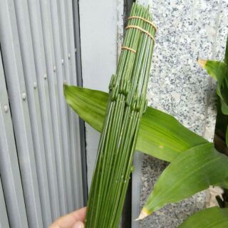 Kẽm cành 30cm bọc nhựa