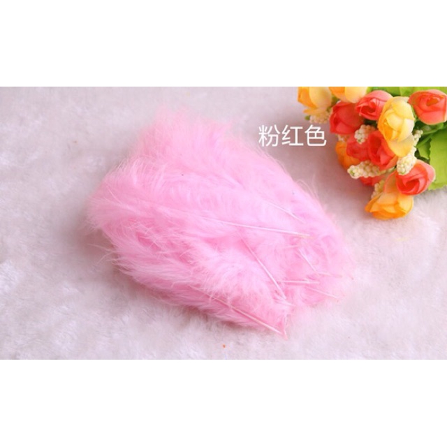 Bộ 100 Lông Vũ Tự Nhiên Nhiều Màu Sắc Làm Đồ Thủ Công DIY