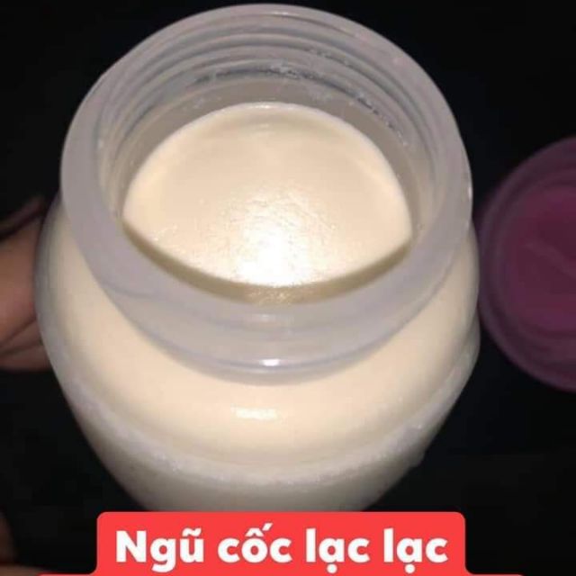Combo ngũ cốc sỉ sự