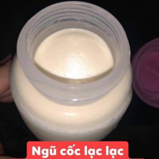 Combo ngũ cốc sỉ sự