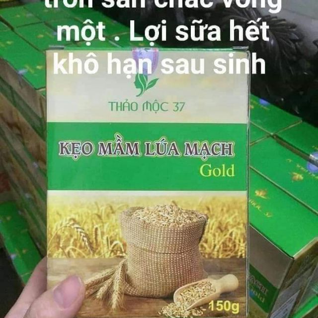 Tặng 01 cao nghệ sữa ong chua khi mua 10 hộp kẹo mầm gold