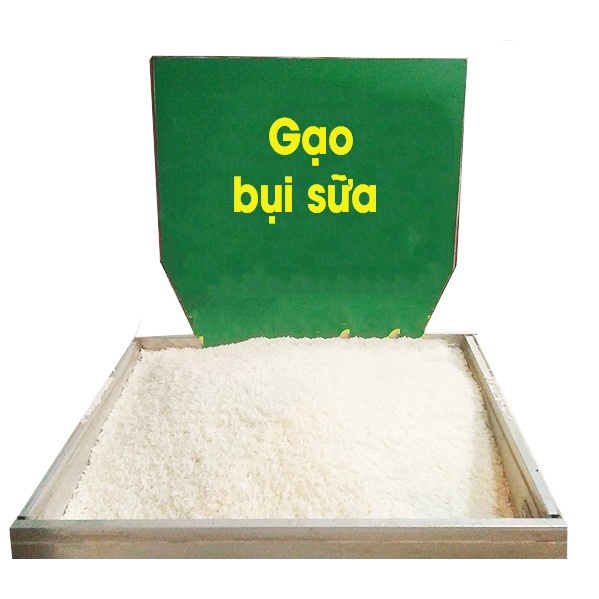Gạo Bụi Sữa - Túi 1-5kg (nở, xốp, ngọt đậm)