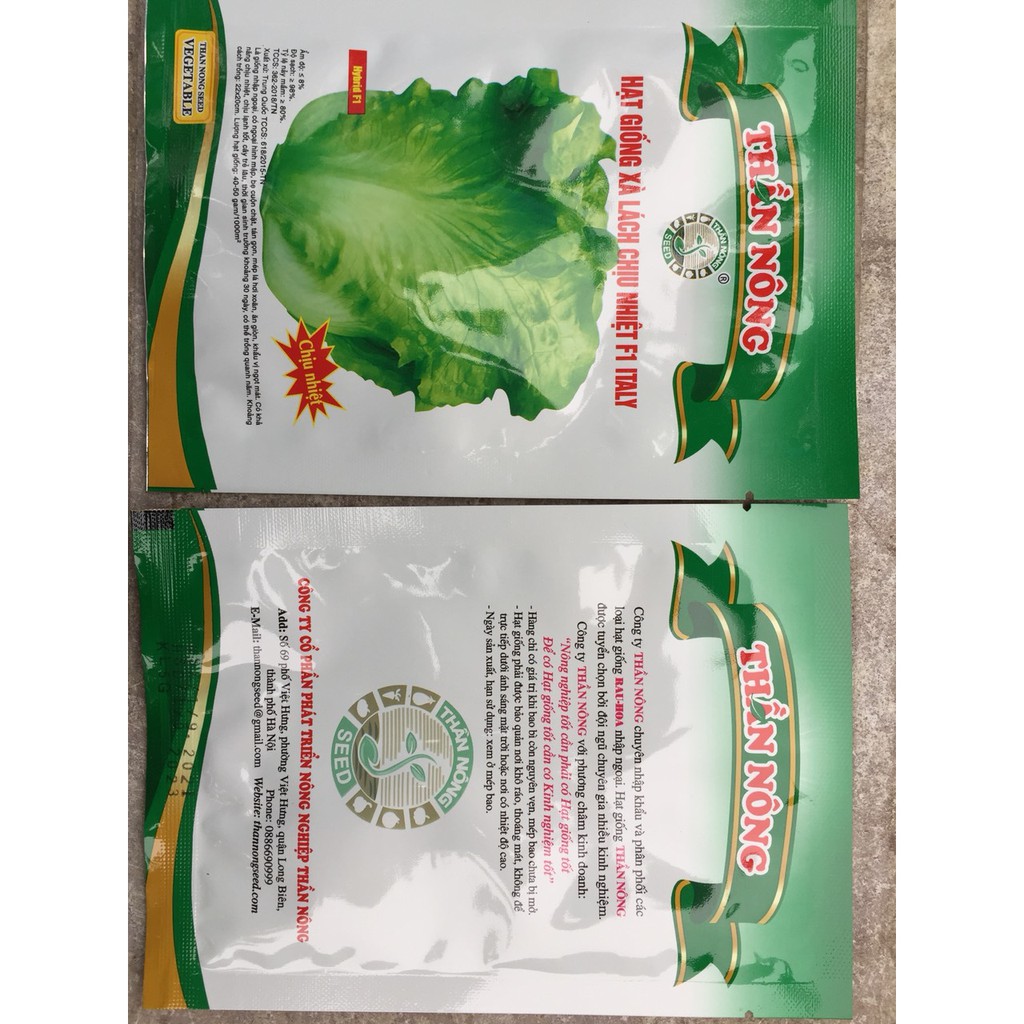 Hạt rau giống xà lách chịu nhiệt F1