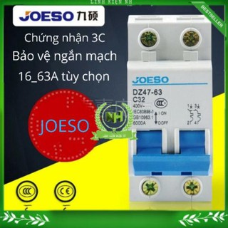 Aptomat 2pha 2tep hộ gia đình dz47-63 loại tốt