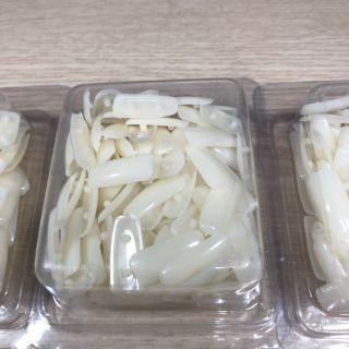 Hộp móng gắn đế tập sơn gel, tập vẽ Nail