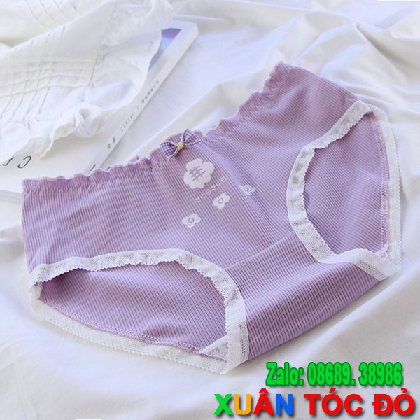  SỈ ZALO RẺ HƠN NHIỀU_ Quần Lót 5 Kiểu Hoa Đào Trắng Tím Cực Đẹp 5108 | BigBuy360 - bigbuy360.vn