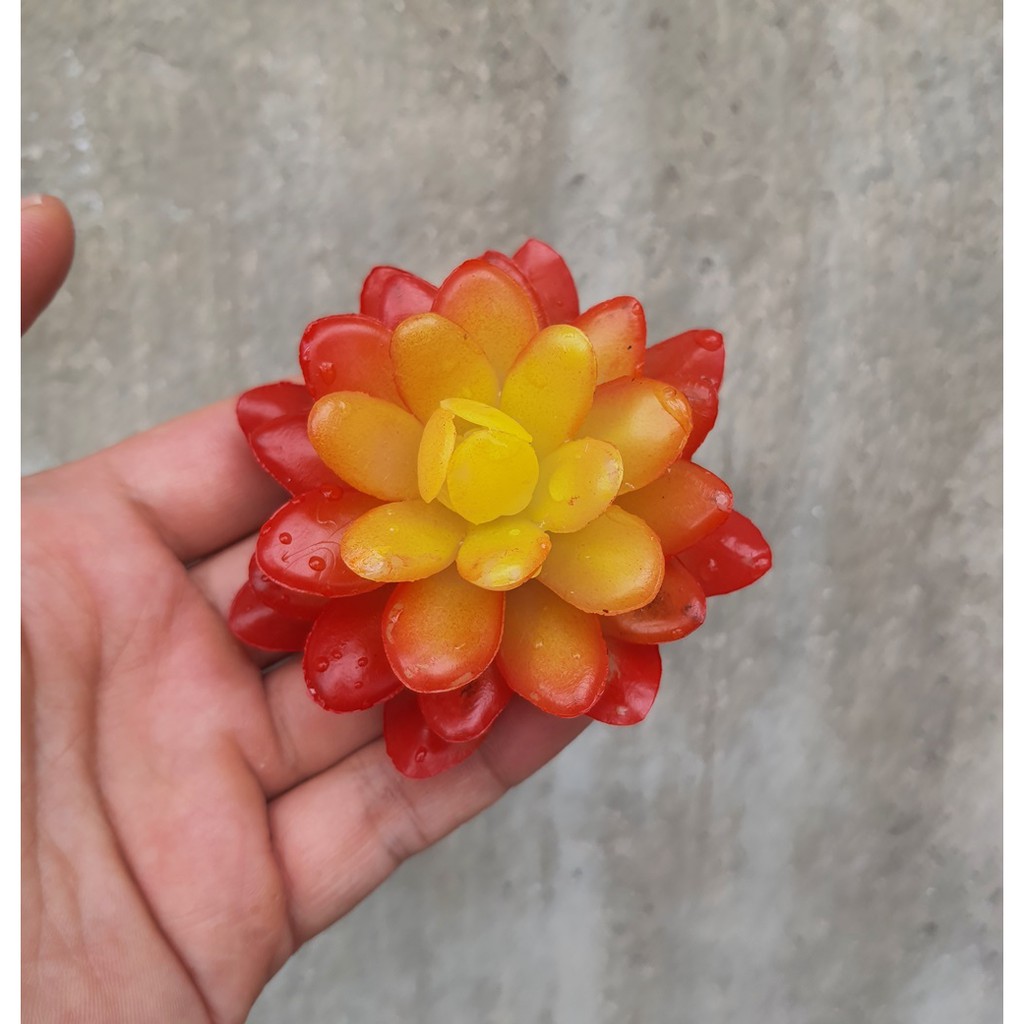 Cây hoa nhựa: Mẫu Sen đá Ruby đỏ