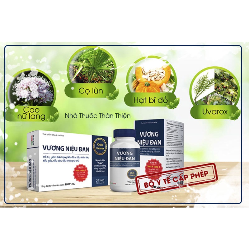 Vương Niệu Đan - Giúp cải thiện tình trạng tiểu đêm, tiểu nhiều lần (20 Viên &amp;80 viên)