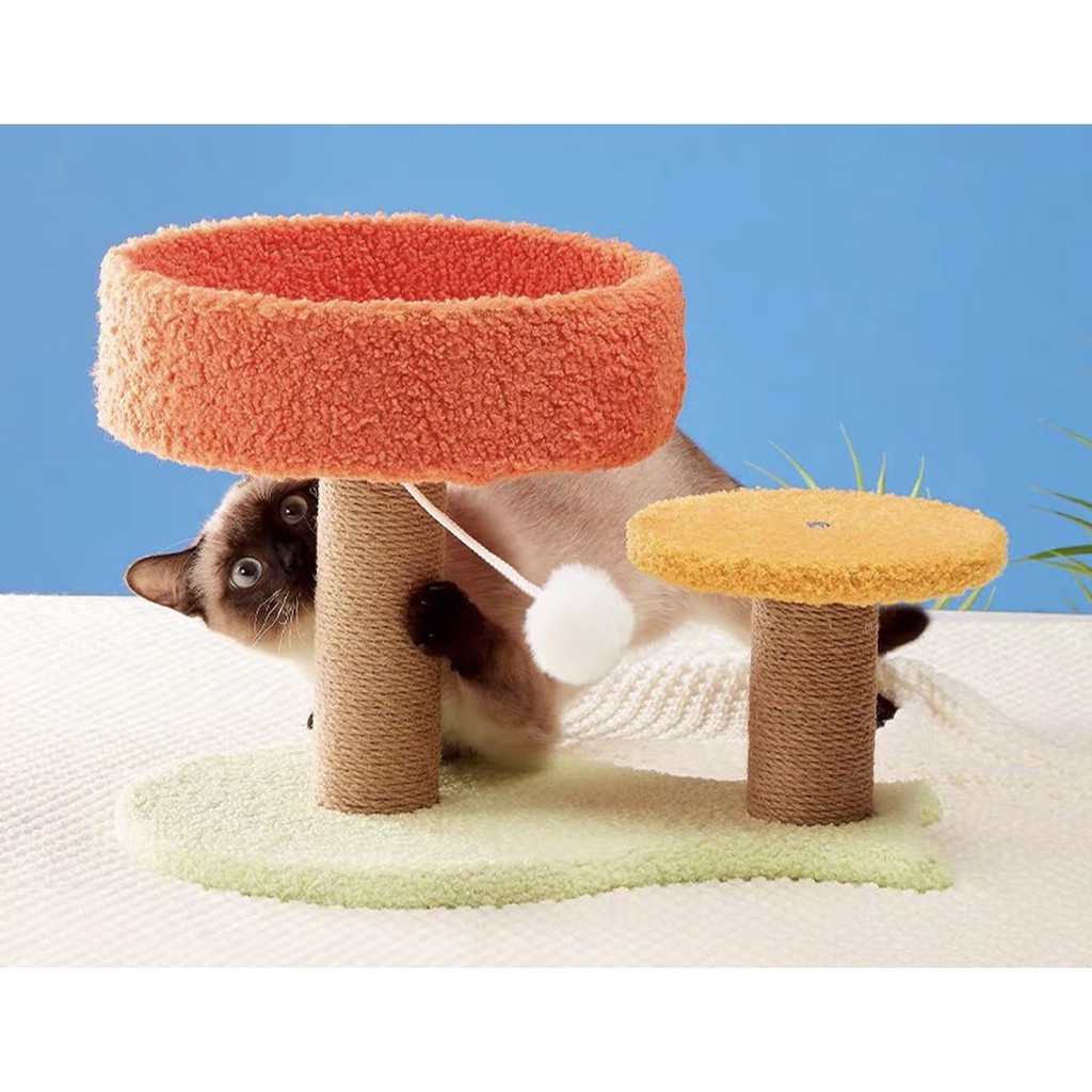 [Có sẵn]CATTREE - Cây cào móng kết hợp ổ nằm cho mèo phụ kiện thú cưng