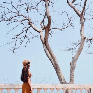 Mũ cói tiểu thư