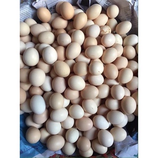 Trứng gà ri