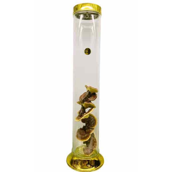 Bình Ngâm Rượu Thuỷ Tinh Dáng Trụ 2.8Lít - 9.8Lít Không Vòi