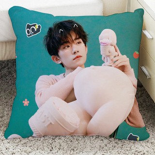 Gối vuông trang trí Dịch Dương Thiên Tỉ cực đẹp