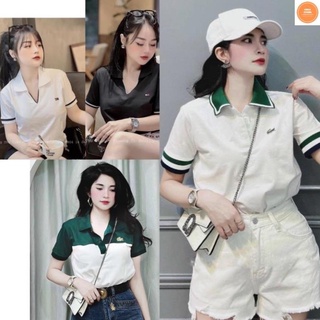 Áo polo nữ, áo thun polo nữ chất vải poly cá sấu