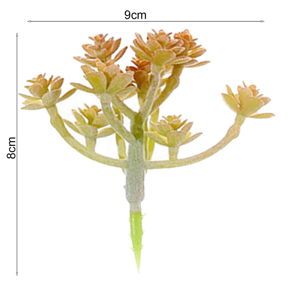 1 Cây Mọng Nước Không Phai Bằng Nhựa Trang Trí Tiệc