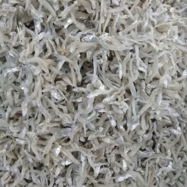 cá cơm sữa (1kg)