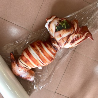 Gối 3D con mực có râu