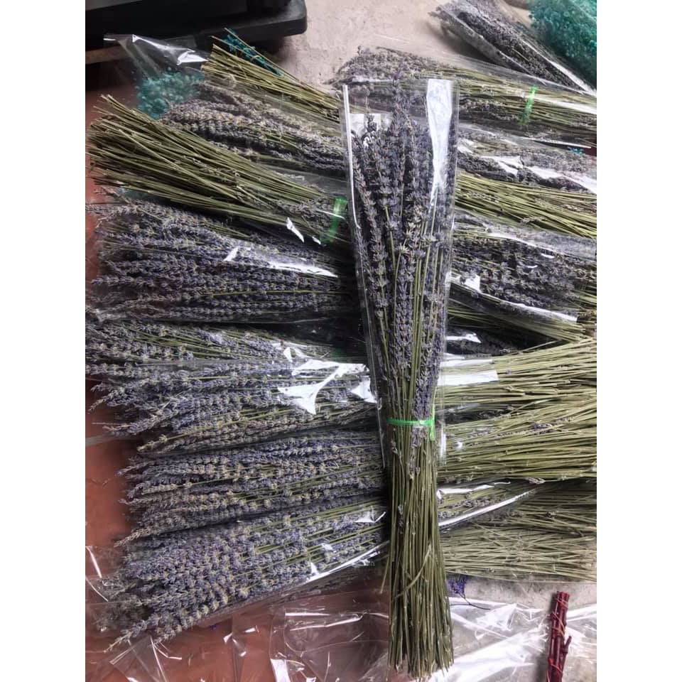 Bó hoa Oải Hương - Lavender khô 100g