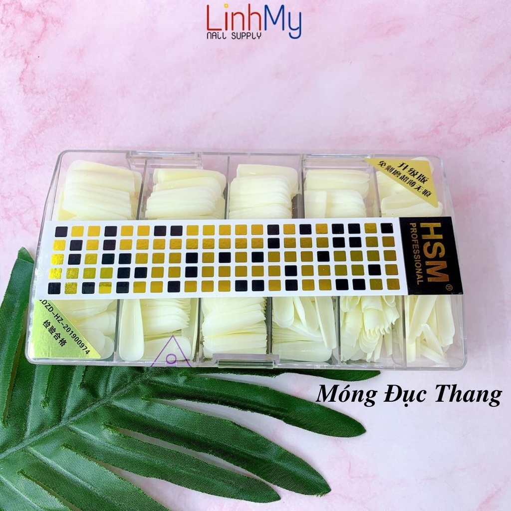 Móng Úp HSM Nhám Vuông Bầu Thang Nhọn Trong Và Đục Hộp 500 Cái