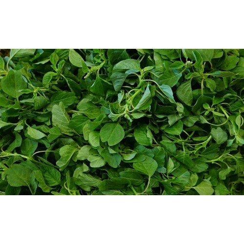 Hạt giống Rau Dền cơm - gói 10 gram