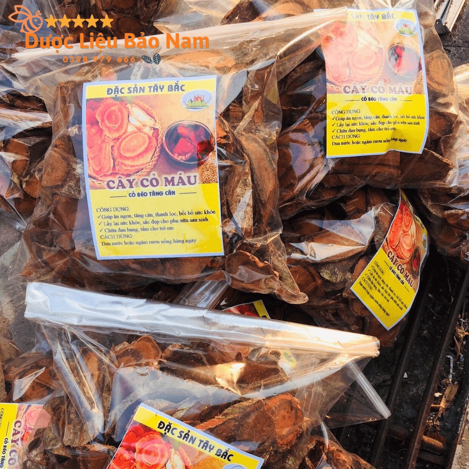 Cây cỏ máu, cỏ béo tăng cân dược liệu quý tại rừng già Sìn Hồ Lai Châu -1kg