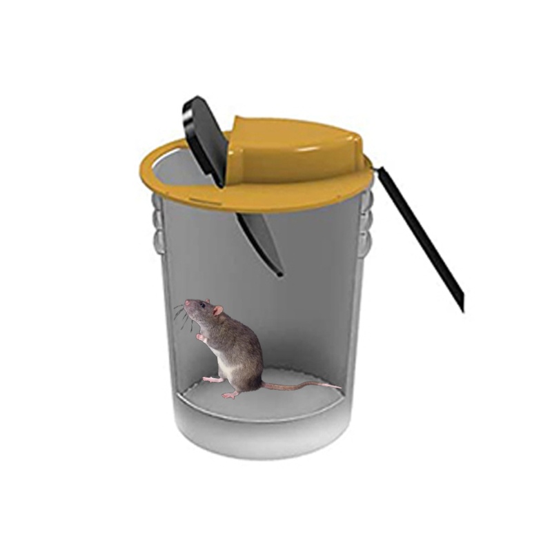 Nắp Trượt Bẫy Chuột Dạng Lật Đa Năng Tiện Dụng