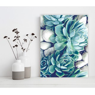 Tranh Canvas sen đá trang trí