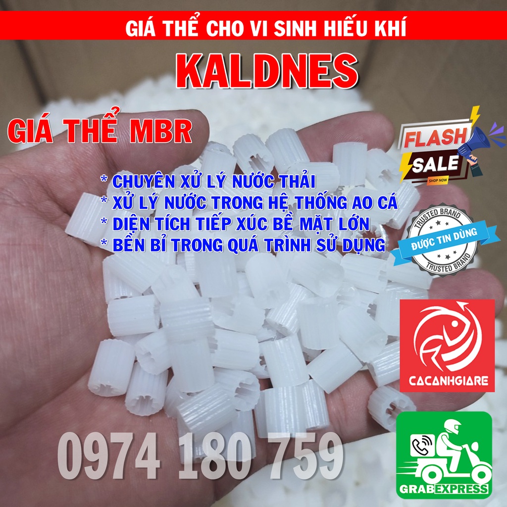 HẠT KALDNESS - Gíá Thể Vi Sinh Xử Lý Nước