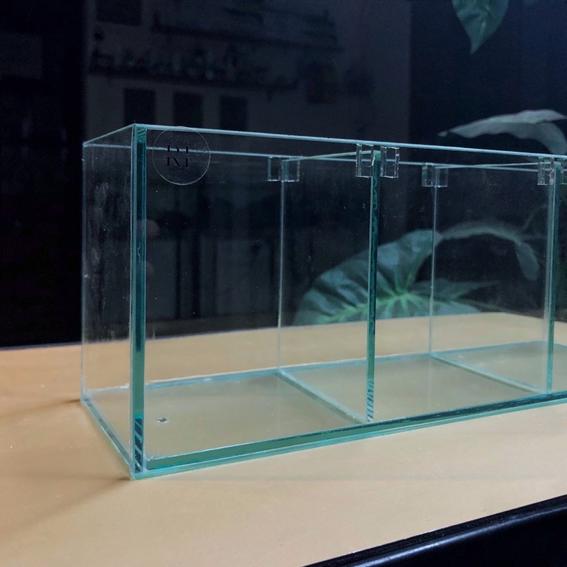 Bể cá betta D30xR10xC12cm 3 ngăn