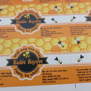 100 tem trong và 100 card