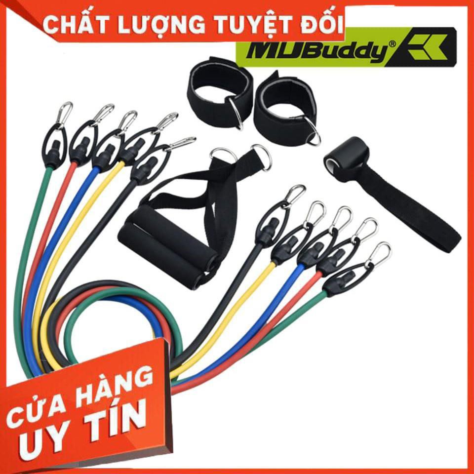 [XẢ KHO+FREE SHIP]  Bộ 5 dây tập thể dục đàn hồi MDBuddy, dây tập ngũ sắc