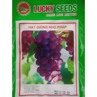 Cây Nho Ngón Tay. Giống NH01 - 152. Chuẩn Giống Trái To Dài. (Giống Mới) .giongcaynhap