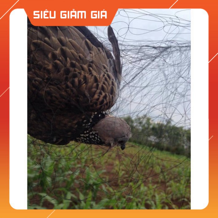 [Combo] [Combo] Lưới bẫy chim Cu, Tu hú, Gà Rừng Cao 5m, mắt lưới 7p, dài 20m - 50m, Lưới Chim Thái Lan [Giá rẻ] [Giá rẻ