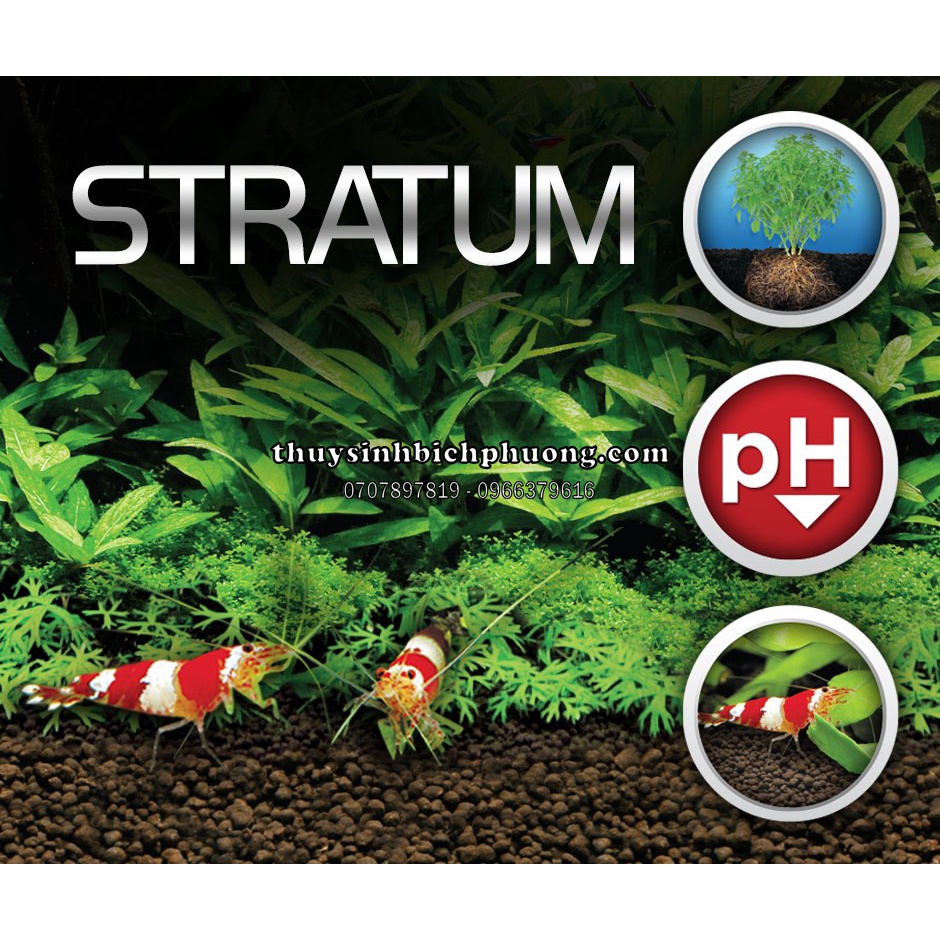 ĐẤT NỀN FLUVAL STRATUM TÚI 1KG NUÔI TÉP TRỒNG CÂY THỦY SINH