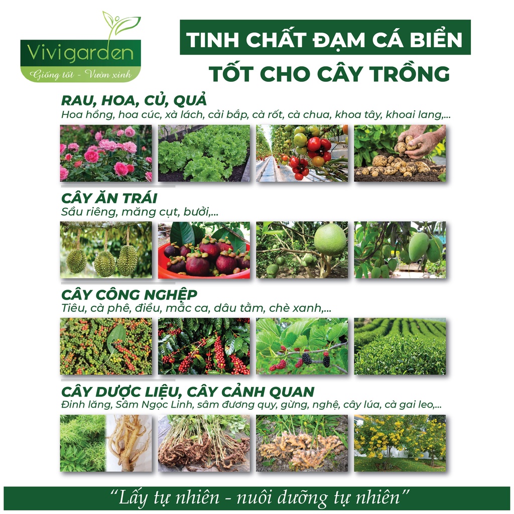 Chai 100ml Đạm Cá Biển Amino Acid siêu đạm đậm đặc giúp bổ sung dinh dưỡng giúp cây khỏe hoa to
