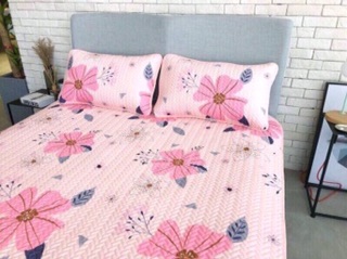 Chiếu điều hoà tencel