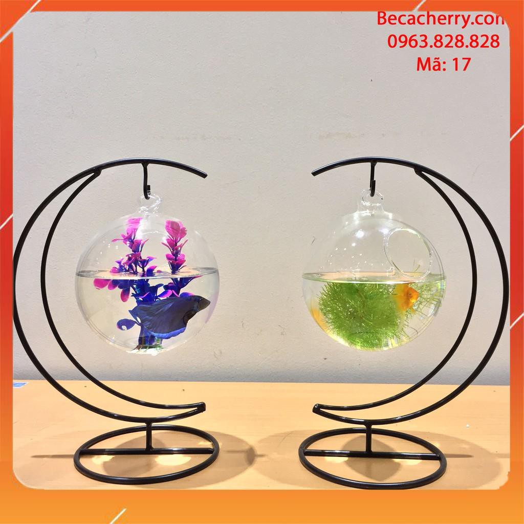 Bể cá mini cung trăng 17 ( tặng kèm phụ kiện trang trí ) | BigBuy360 - bigbuy360.vn