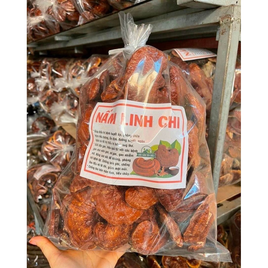 Nấm linh chi rừng 1kg