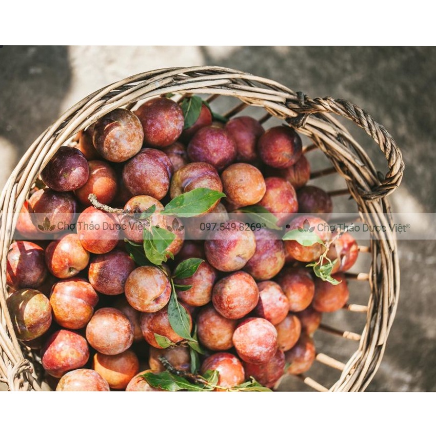 Ô mai mận xào cay - Chợ Thảo Dược Việt