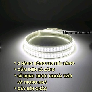 [Siêu Sáng] 10m Dây Đèn LED Dây Đôi 2835 - Quấn Cây, Trang Trí Noel, Lễ Tết,vv