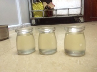 Com bo 2 lo Dầu dừa nguyên chất handmade( 1 lọ 70ml + 1 lọ 100ml)