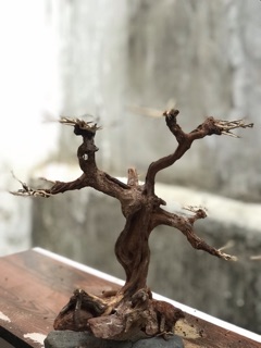 Lũa bonsai cổ thủ cho bể cá thuỷ sinh KT: C32xD22